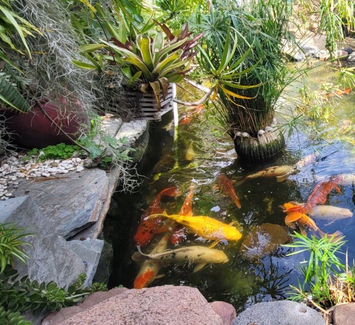 The Woods WeHo garden lounge and koi pond